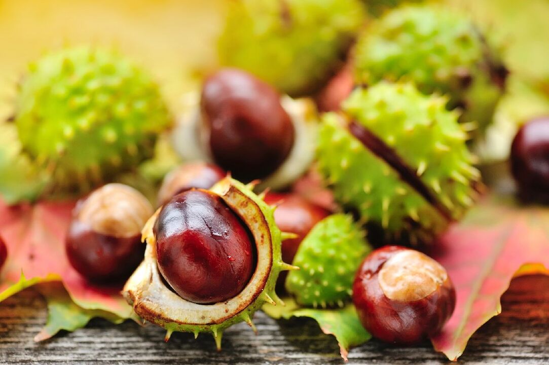 horse chestnut para sa talamak na prostatitis